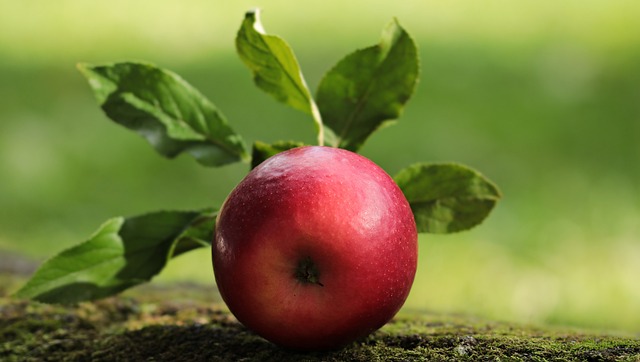 De kunst van een perfecte appeltaart: van geschiedenis tot serveertips