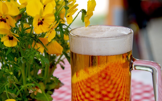 Zelf bier brouwen: alles wat je nodig hebt in één pakket